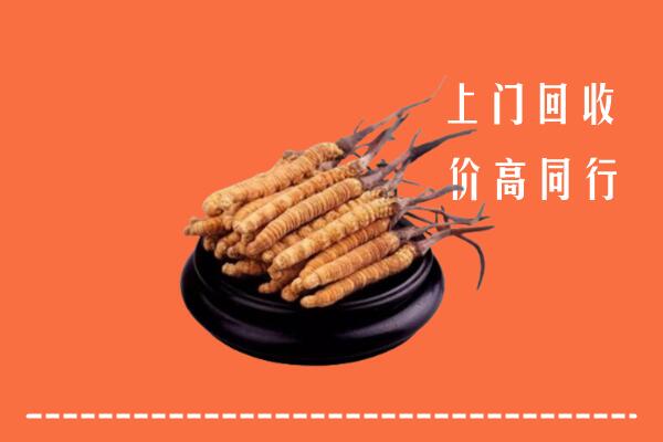 高价求购：游仙区回收散虫草