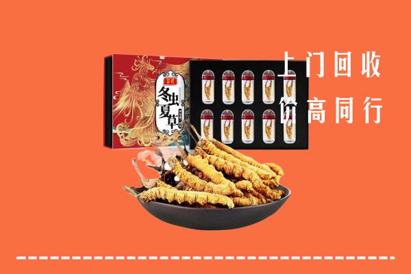 游仙区回收虫草